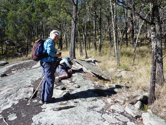 No Neta - you must use a broom not a walking pole